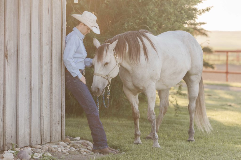 
western cowboy with grey horse