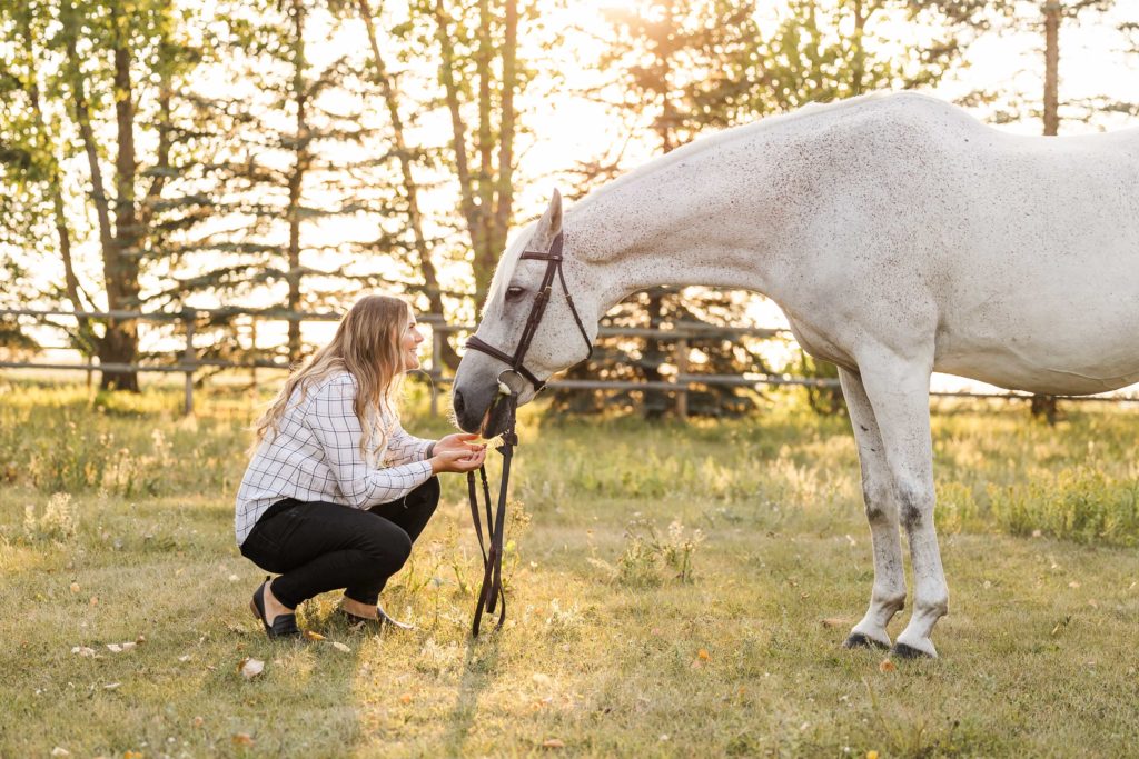 Equine Session Captured by Brittany Anne Photography featuring a sunset and grey horse